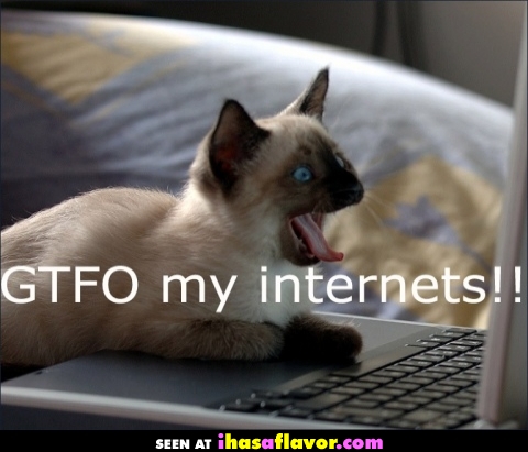 gtfo-my-internets.jpg